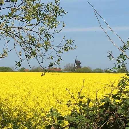 Am Dorfteich Апартаменты Westerbergen