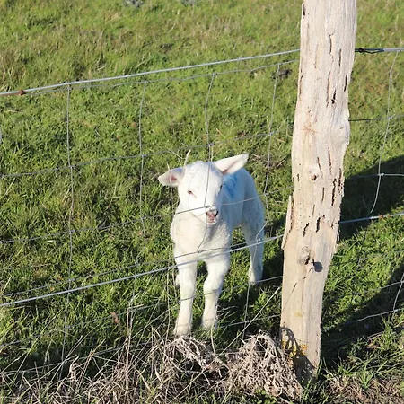 Am Dorfteich * Lemkenhafen auf Fehmarn